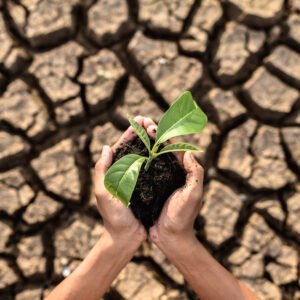 Recuperación de Agua, Medio Ambiente y Cambio Climático