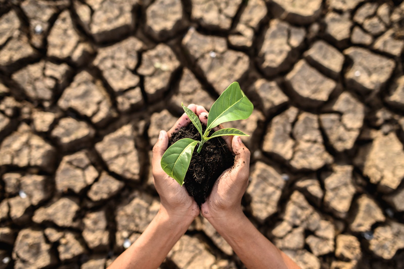 Recuperación de Agua, Medio Ambiente y Cambio Climático